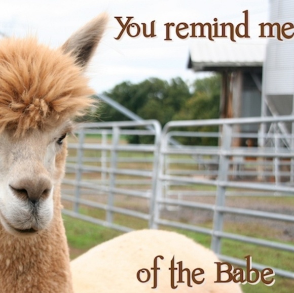 Thanks everyone xo - Picture 4 of 8